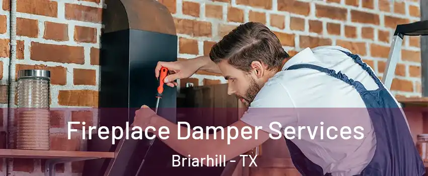 Fireplace Damper Services Briarhill - TX