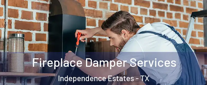 Fireplace Damper Services Independence Estates - TX