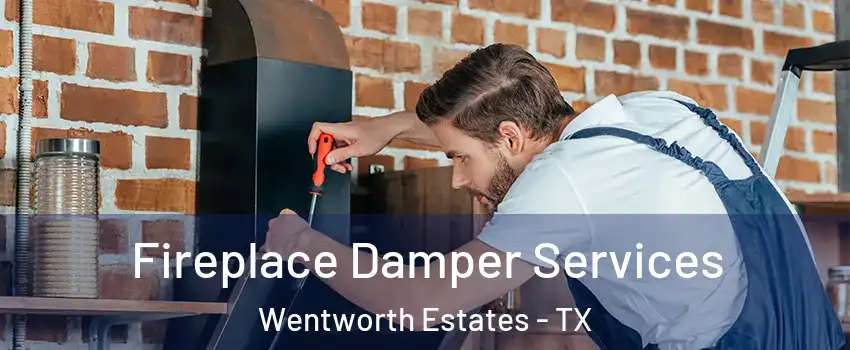 Fireplace Damper Services Wentworth Estates - TX