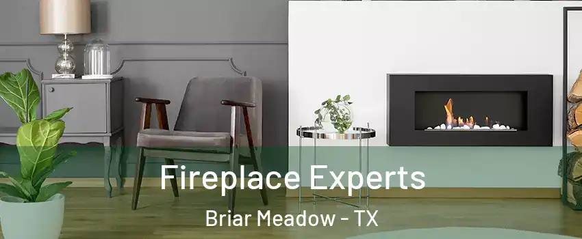 Fireplace Experts Briar Meadow - TX