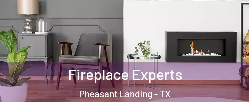 Fireplace Experts Pheasant Landing - TX