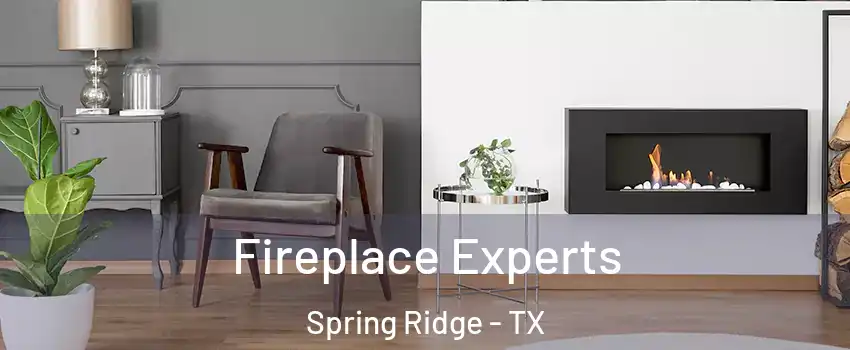 Fireplace Experts Spring Ridge - TX