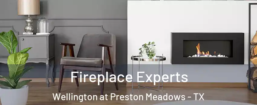 Fireplace Experts Wellington at Preston Meadows - TX