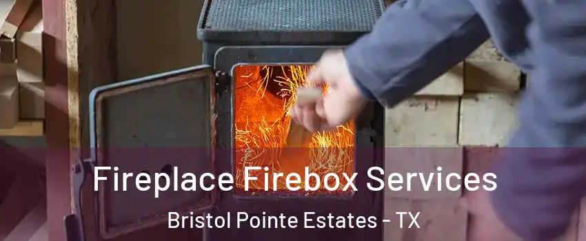 Fireplace Firebox Services Bristol Pointe Estates - TX