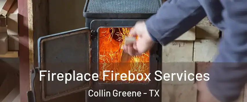 Fireplace Firebox Services Collin Greene - TX