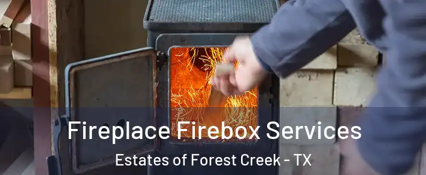 Fireplace Firebox Services Estates of Forest Creek - TX