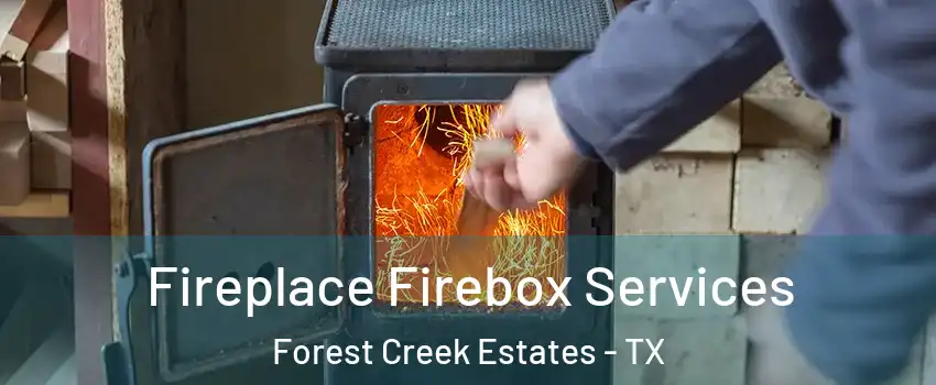 Fireplace Firebox Services Forest Creek Estates - TX