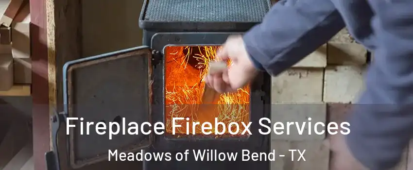 Fireplace Firebox Services Meadows of Willow Bend - TX