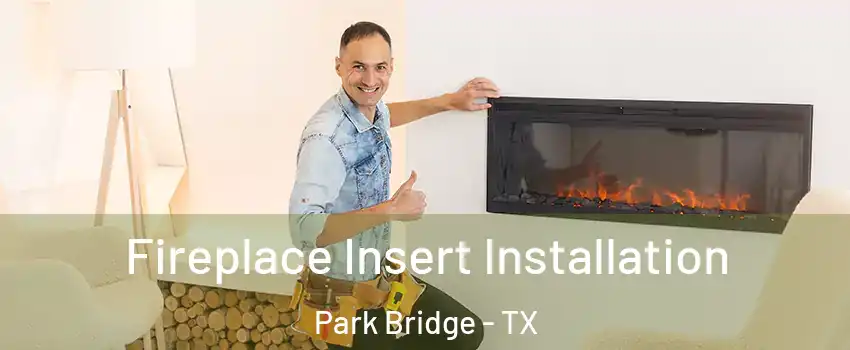 Fireplace Insert Installation Park Bridge - TX