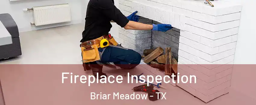 Fireplace Inspection Briar Meadow - TX