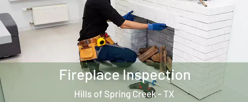 Fireplace Inspection Hills of Spring Creek - TX