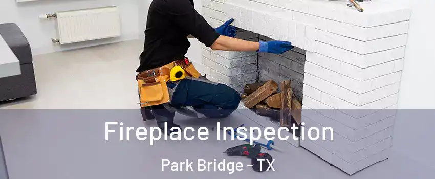 Fireplace Inspection Park Bridge - TX