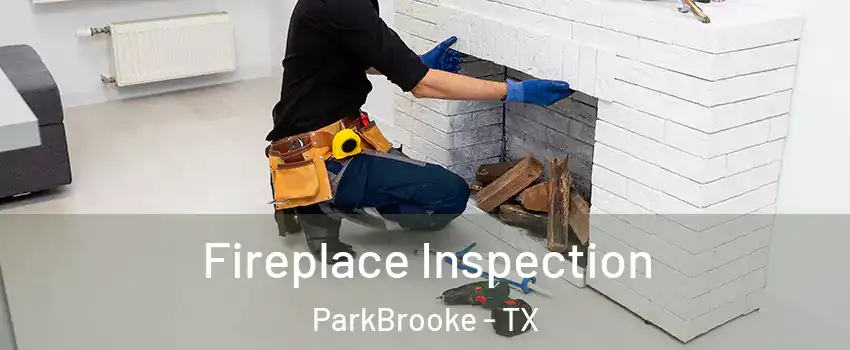 Fireplace Inspection ParkBrooke - TX