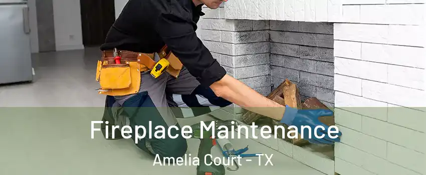 Fireplace Maintenance Amelia Court - TX