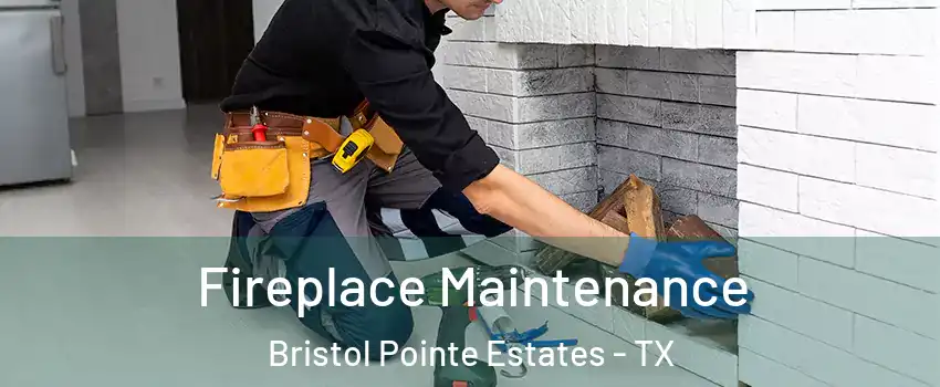 Fireplace Maintenance Bristol Pointe Estates - TX