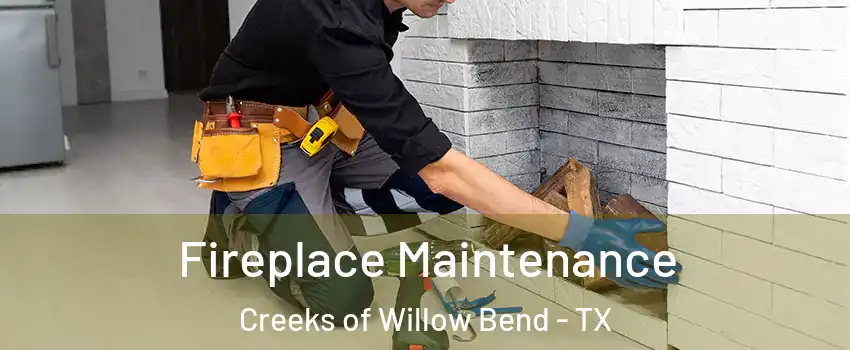 Fireplace Maintenance Creeks of Willow Bend - TX