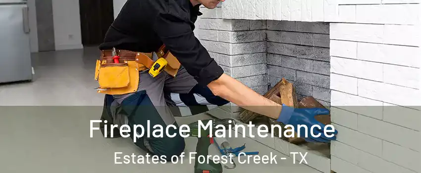 Fireplace Maintenance Estates of Forest Creek - TX