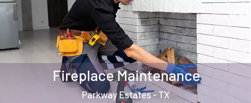 Fireplace Maintenance Parkway Estates - TX