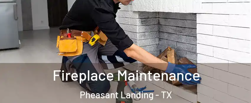 Fireplace Maintenance Pheasant Landing - TX