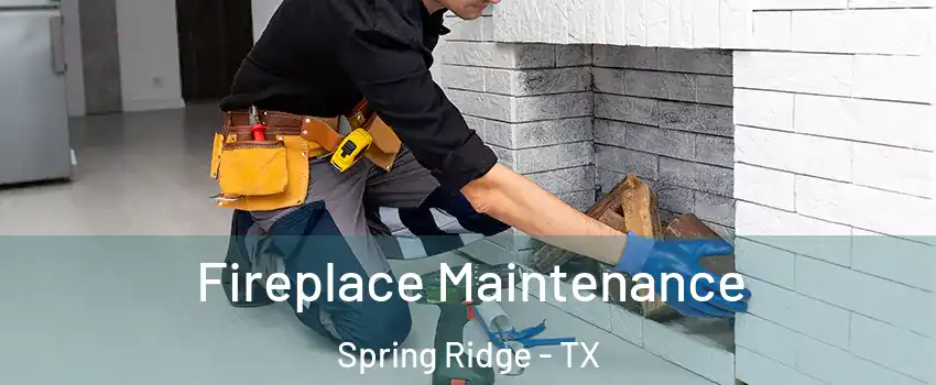 Fireplace Maintenance Spring Ridge - TX