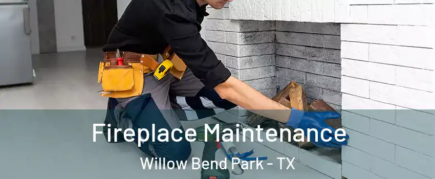 Fireplace Maintenance Willow Bend Park - TX