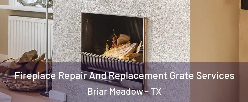 Fireplace Repair And Replacement Grate Services Briar Meadow - TX