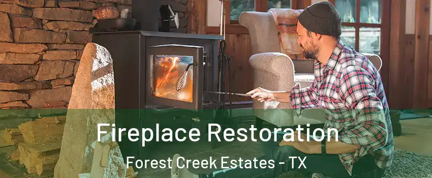 Fireplace Restoration Forest Creek Estates - TX