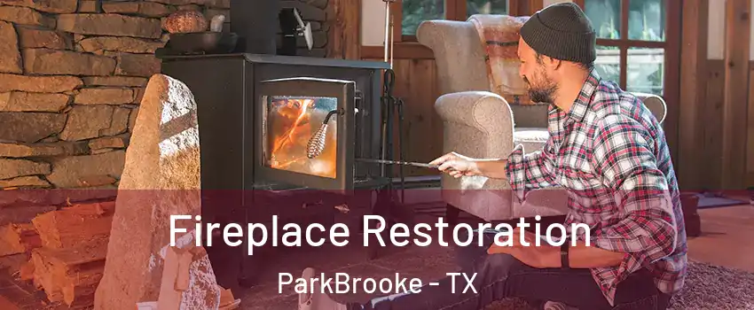 Fireplace Restoration ParkBrooke - TX