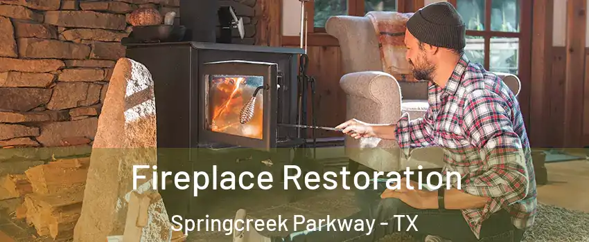 Fireplace Restoration Springcreek Parkway - TX