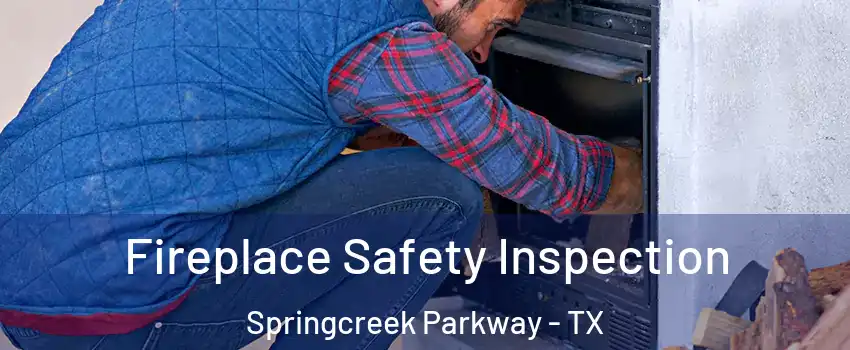 Fireplace Safety Inspection Springcreek Parkway - TX