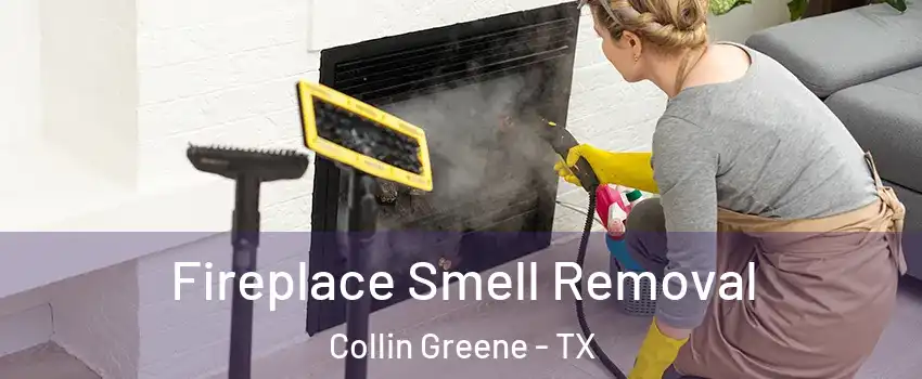 Fireplace Smell Removal Collin Greene - TX