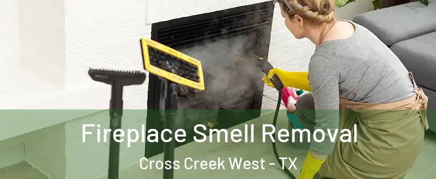 Fireplace Smell Removal Cross Creek West - TX