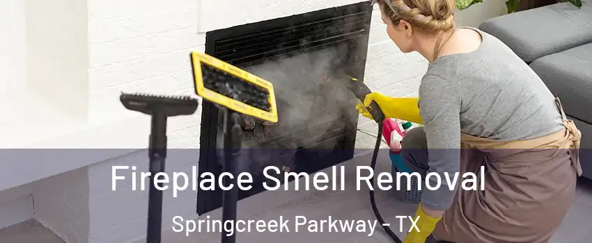 Fireplace Smell Removal Springcreek Parkway - TX