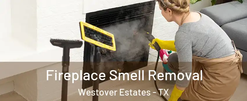 Fireplace Smell Removal Westover Estates - TX