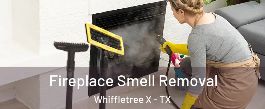 Fireplace Smell Removal Whiffletree X - TX