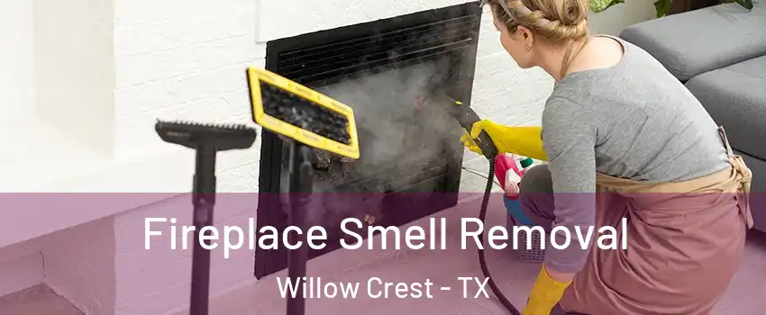 Fireplace Smell Removal Willow Crest - TX