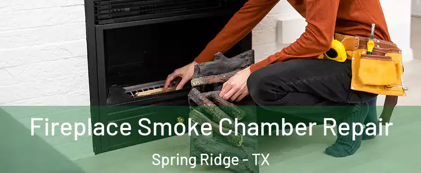 Fireplace Smoke Chamber Repair Spring Ridge - TX