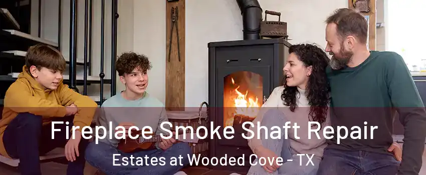 Fireplace Smoke Shaft Repair Estates at Wooded Cove - TX