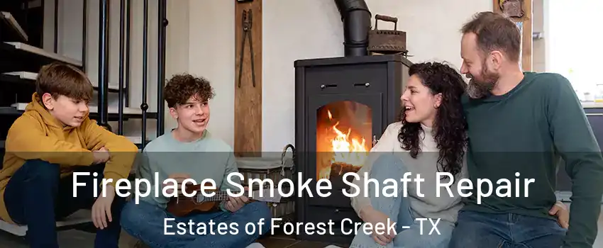 Fireplace Smoke Shaft Repair Estates of Forest Creek - TX