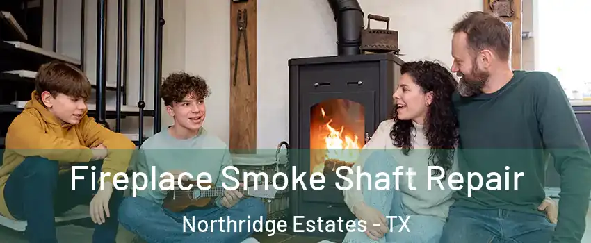 Fireplace Smoke Shaft Repair Northridge Estates - TX