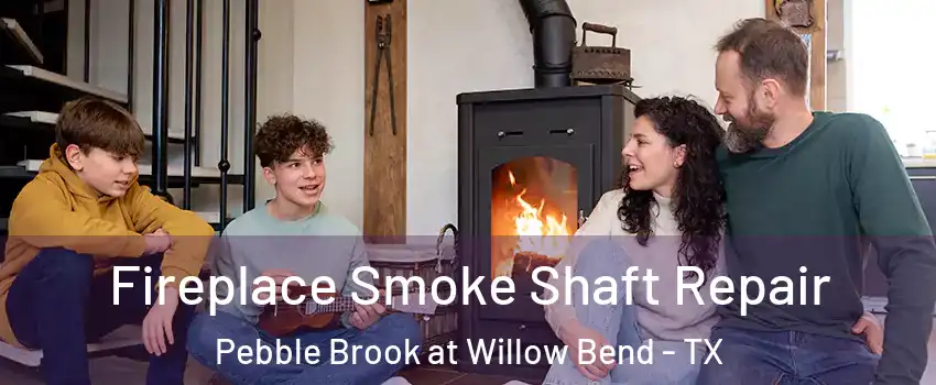 Fireplace Smoke Shaft Repair Pebble Brook at Willow Bend - TX