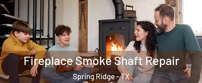 Fireplace Smoke Shaft Repair Spring Ridge - TX