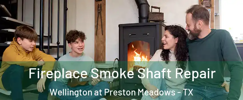 Fireplace Smoke Shaft Repair Wellington at Preston Meadows - TX