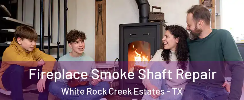 Fireplace Smoke Shaft Repair White Rock Creek Estates - TX