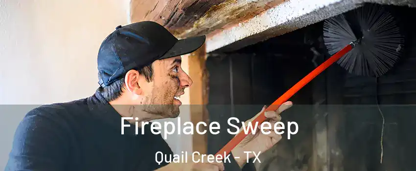 Fireplace Sweep Quail Creek - TX