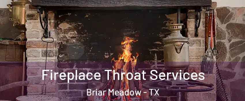 Fireplace Throat Services Briar Meadow - TX