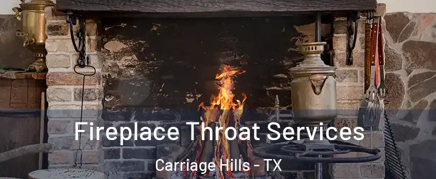 Fireplace Throat Services Carriage Hills - TX