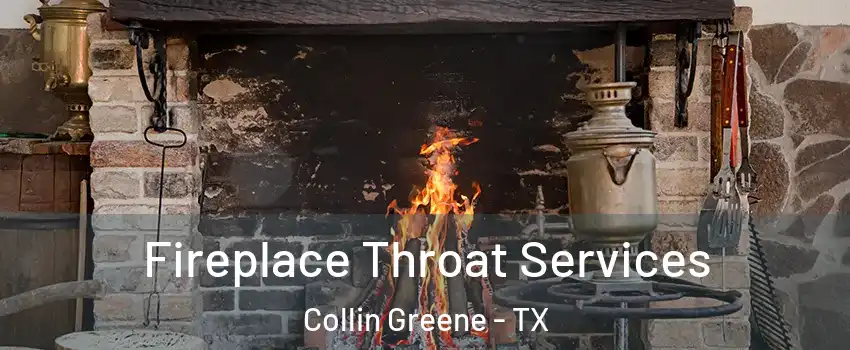 Fireplace Throat Services Collin Greene - TX