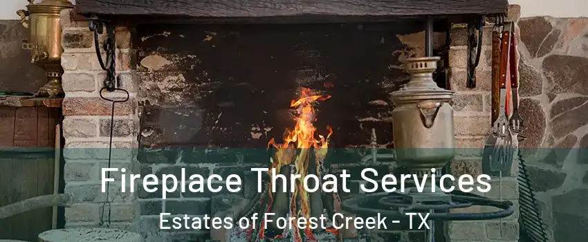 Fireplace Throat Services Estates of Forest Creek - TX