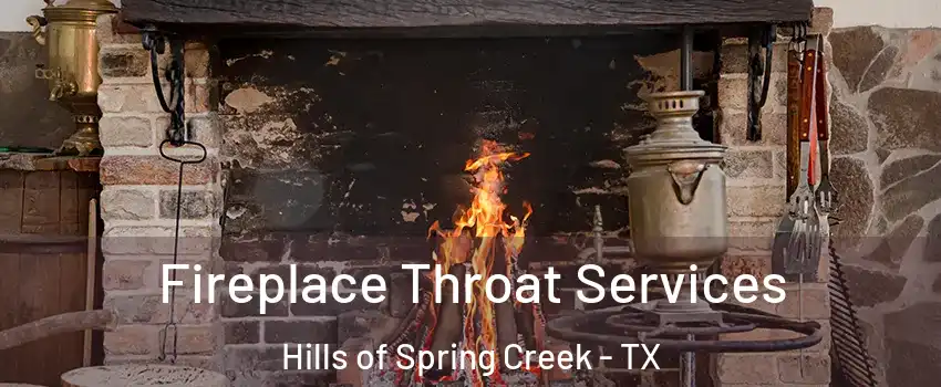 Fireplace Throat Services Hills of Spring Creek - TX